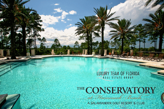 Conservatory Pool by Luxury Team of Florida | All Rights Reserved